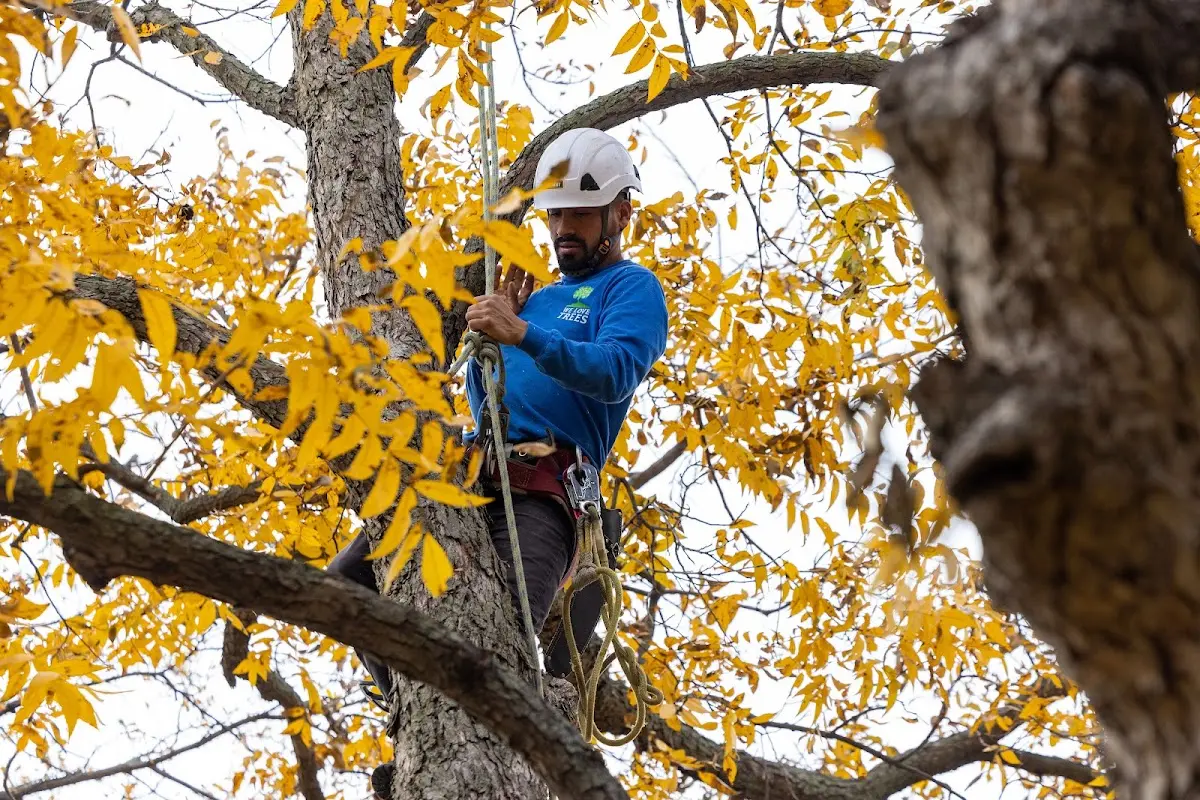Skilled Storm Damage Cleanup crew working in Electric City