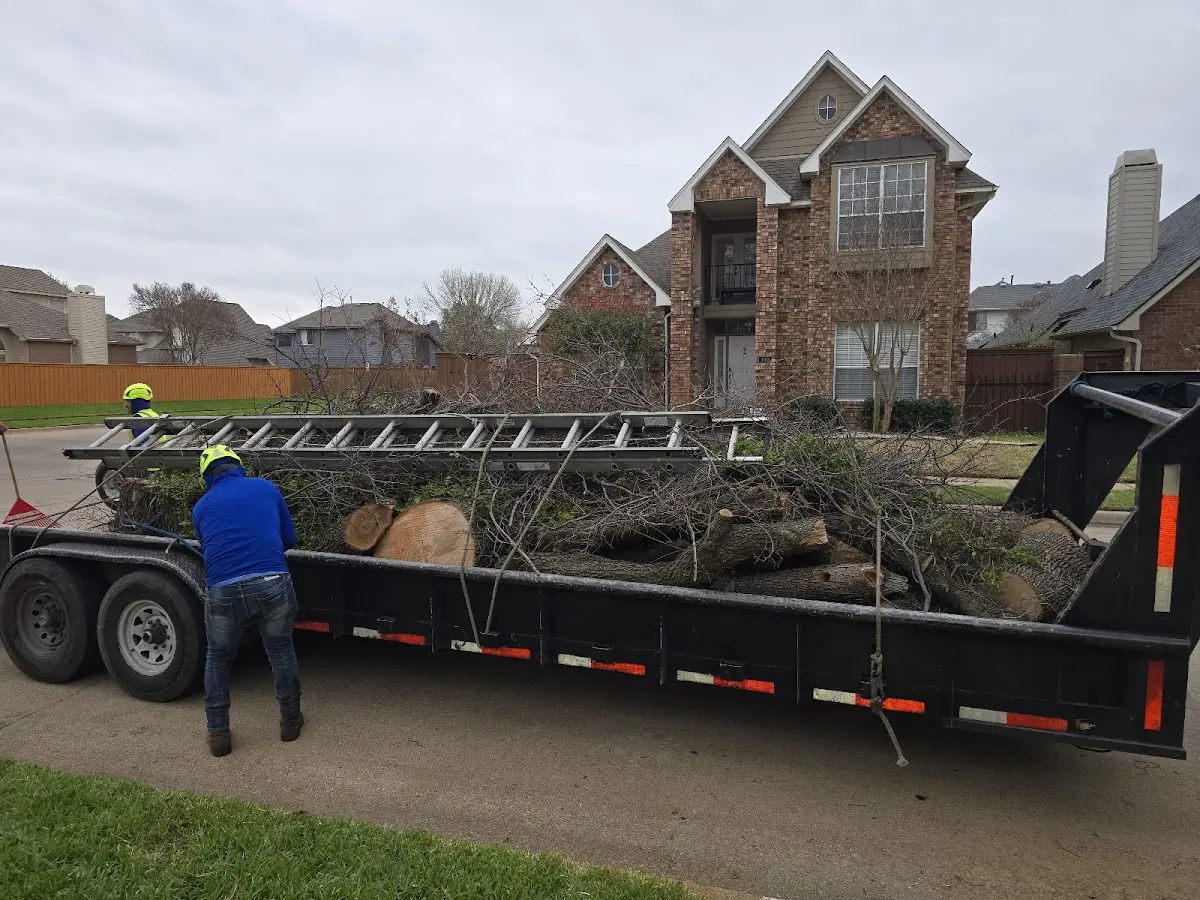 Expert Tree Fertilization with proper safety equipment in Electric City